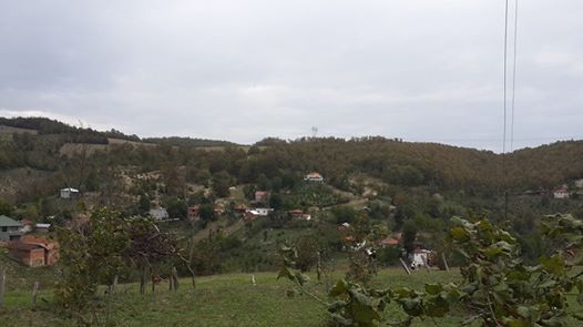 Canik Tuzaklı Köyü Resimleri 3