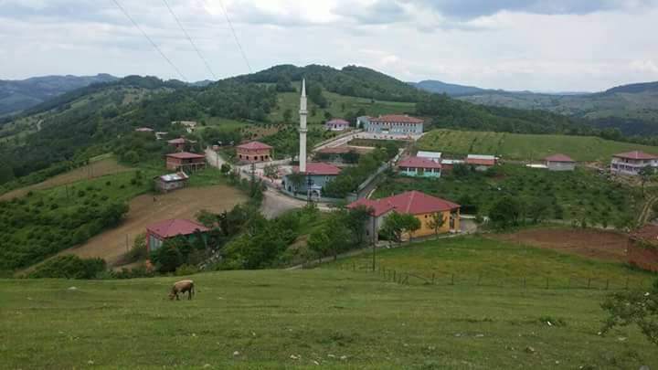 Canik Tuzaklı Köyü Resimleri 6