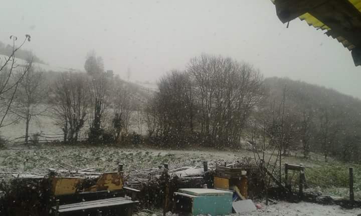 Canik Tuzaklı Köyü Resimleri 7