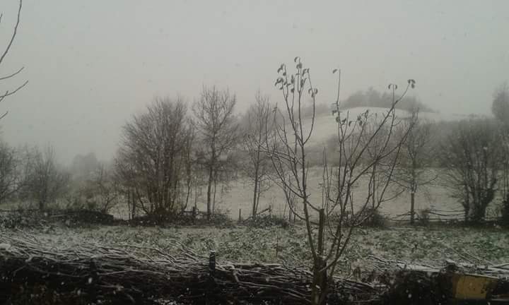 Canik Tuzaklı Köyü Resimleri 8