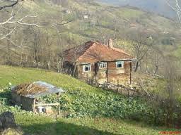 Canik Yayla Köyü Resimleri 3