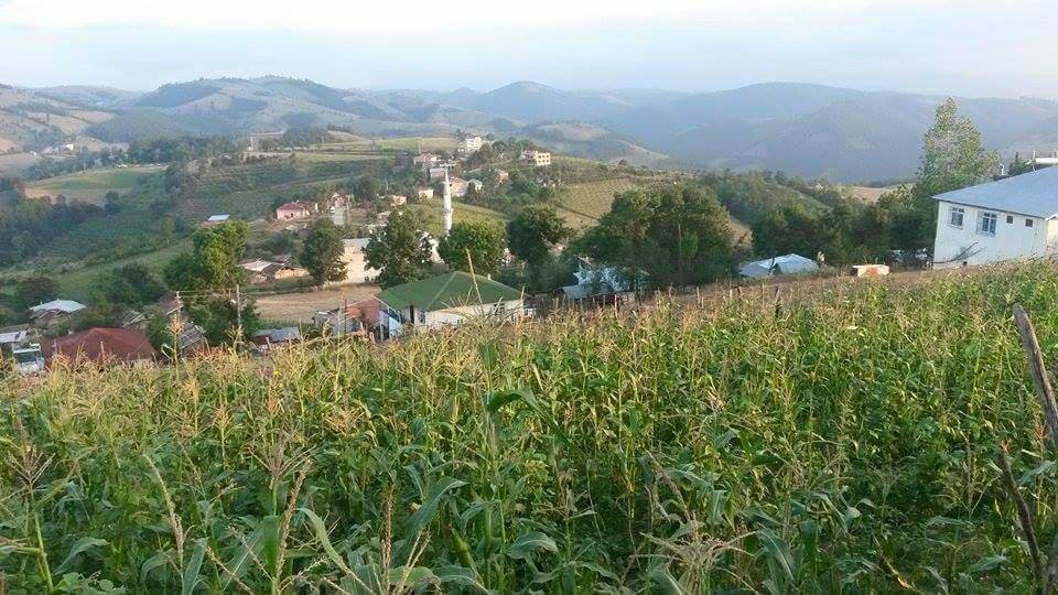 Canik Yayla Köyü Resimleri 5