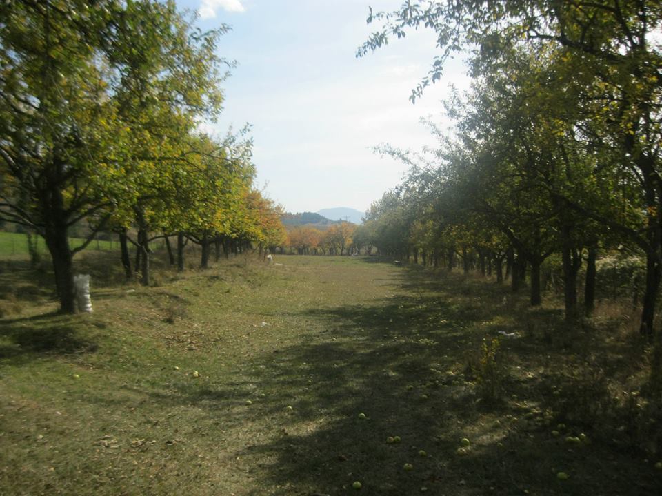 Kastamonu Hacışaban Köyü Resimleri 4