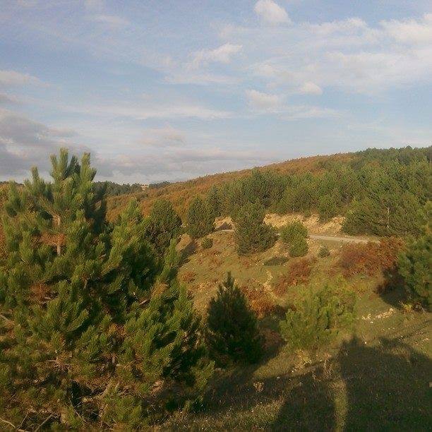 Kastamonu Hatipoğlu Köyü Resimleri 2