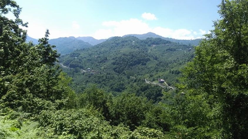 Vakfıkebir Çamlık Köyü Resimleri 12