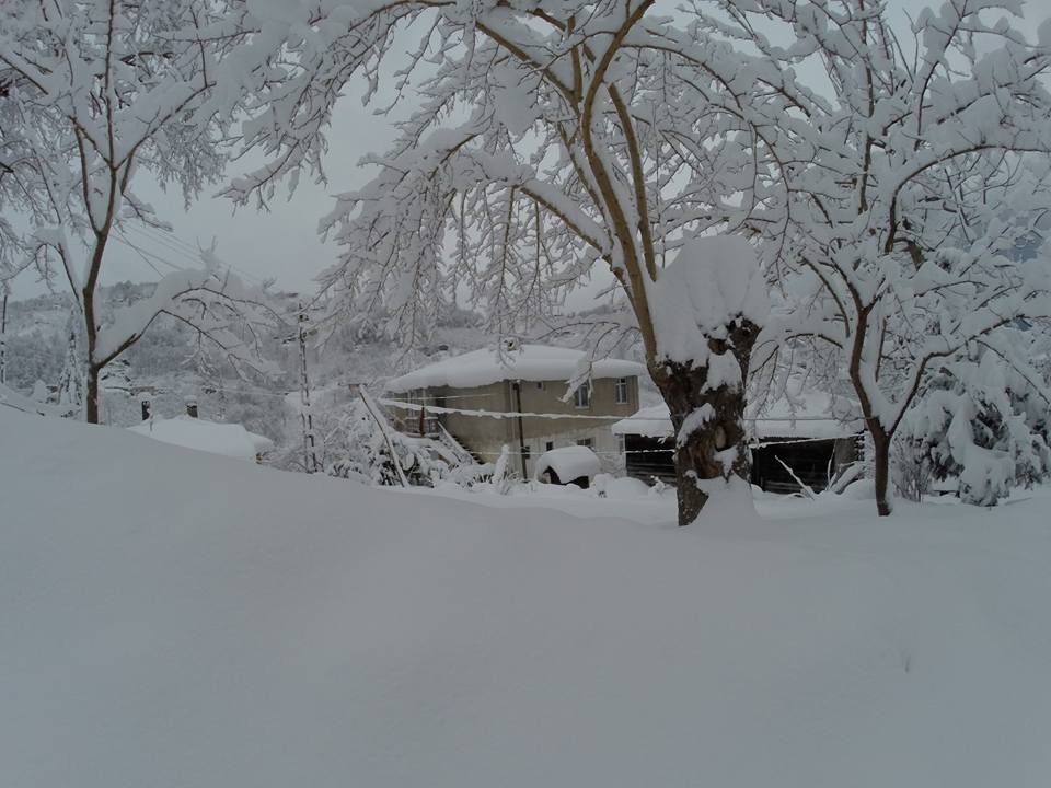 Vakfıkebir Çamlık Köyü Resimleri 13