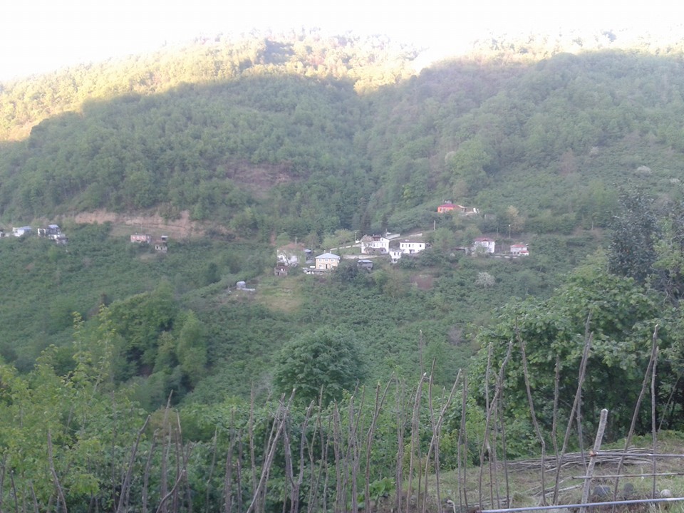 Vakfıkebir Çamlık Köyü Resimleri 17