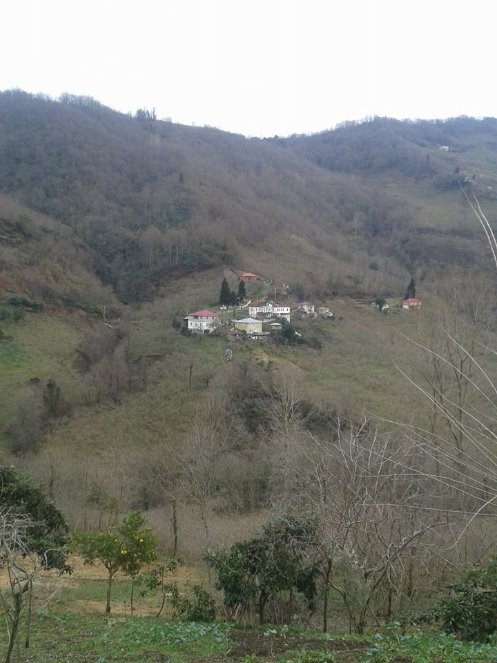 Vakfıkebir Çamlık Köyü Resimleri 6