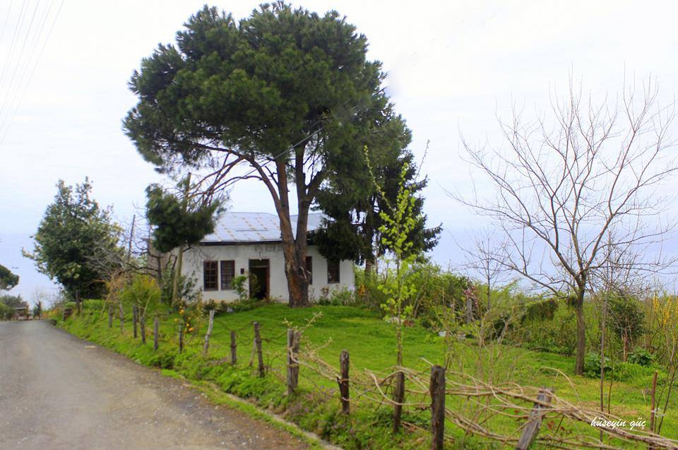 Vakfıkebir Çamlık Köyü Resimleri 7