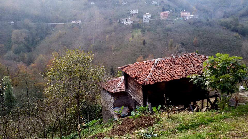 Vakfıkebir Çamlık Köyü Resimleri 8