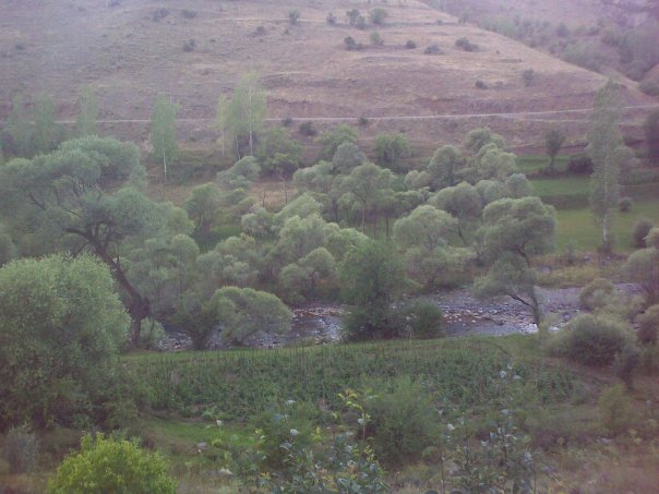 Bayburt Taşburun Köyü Resimleri 8