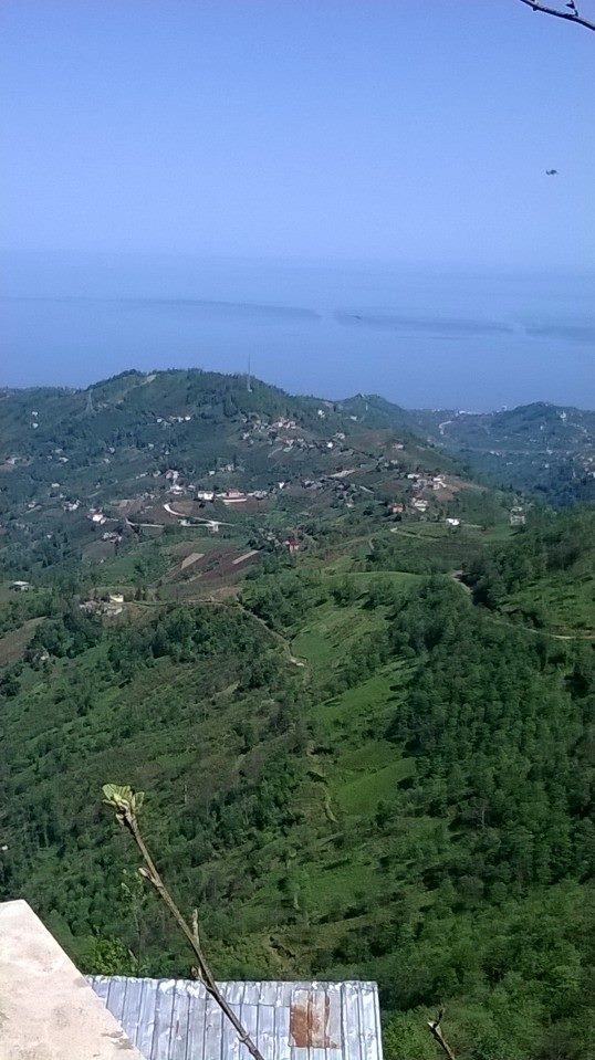 Vakfıkebir Deregözü Köyü Resimleri 1