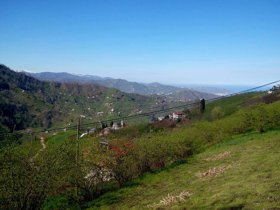 Vakfıkebir Deregözü Köyü Resimleri 13
