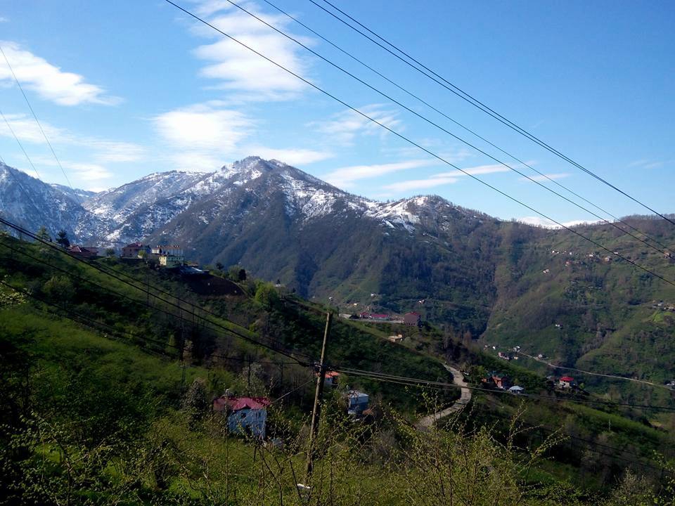 Vakfıkebir Deregözü Köyü Resimleri 14