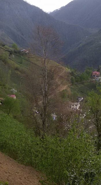 Vakfıkebir Deregözü Köyü Resimleri 7