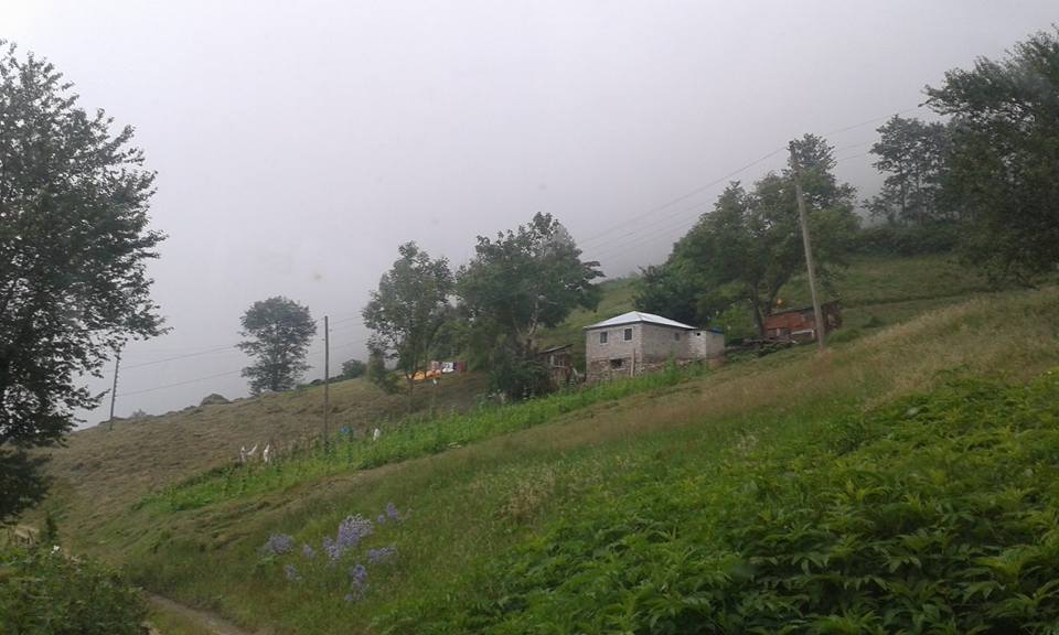 Vakfıkebir Deregözü Köyü Resimleri 8