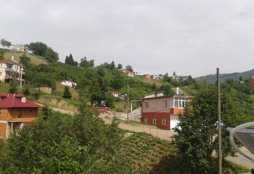Vakfıkebir Deregözü Köyü Resimleri 9