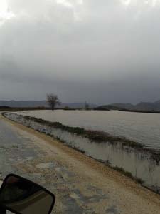 Adana Ceyhan Yeniköynazımbey Köyü Resimleri 1