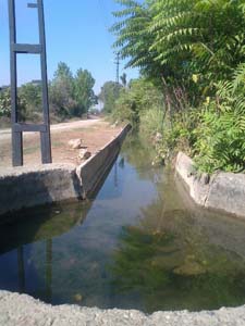 Adana Ceyhan Yeniköynazımbey Köyü Resimleri 10