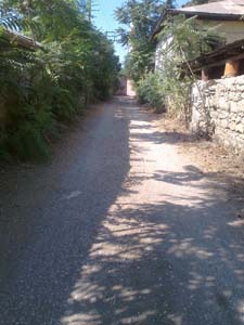 Adana Ceyhan Yeniköynazımbey Köyü Resimleri 14