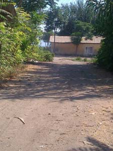 Adana Ceyhan Yeniköynazımbey Köyü Resimleri 17