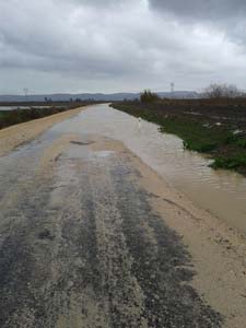 Adana Ceyhan Yeniköynazımbey Köyü Resimleri 2