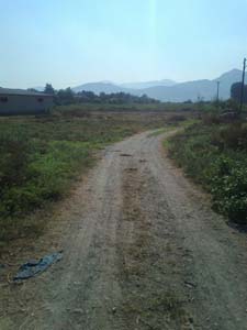 Adana Ceyhan Yeniköynazımbey Köyü Resimleri 7