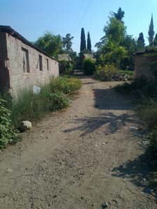 Adana Ceyhan Yeniköynazımbey Köyü Resimleri 8