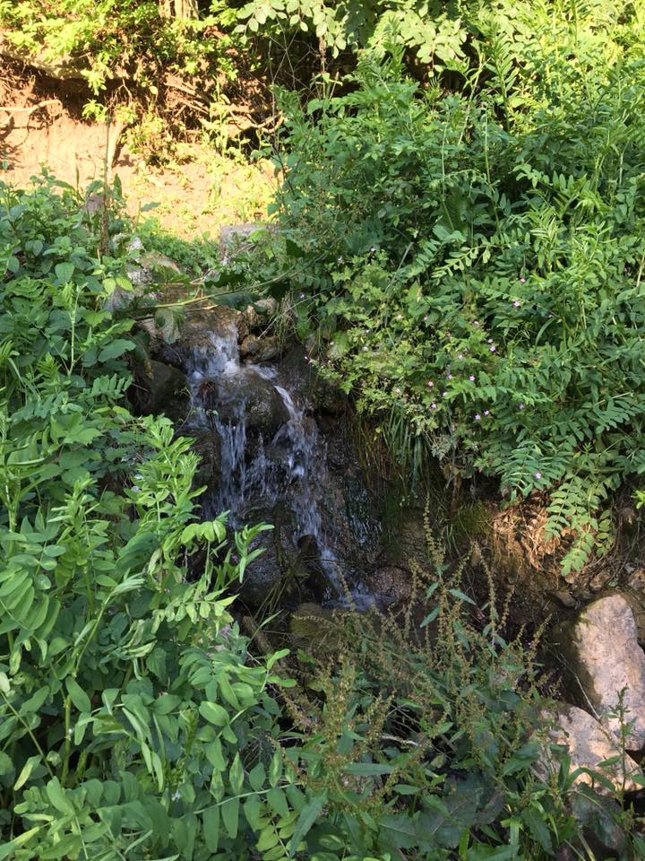 Canik Yeniköy Köyü Resimleri 8