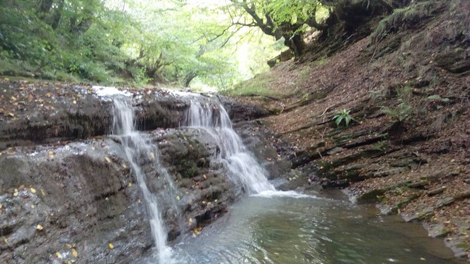 Canik Yeşilpınar Köyü Resimleri 1