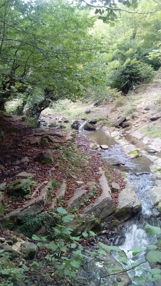 Canik Yeşilpınar Köyü Resimleri 3