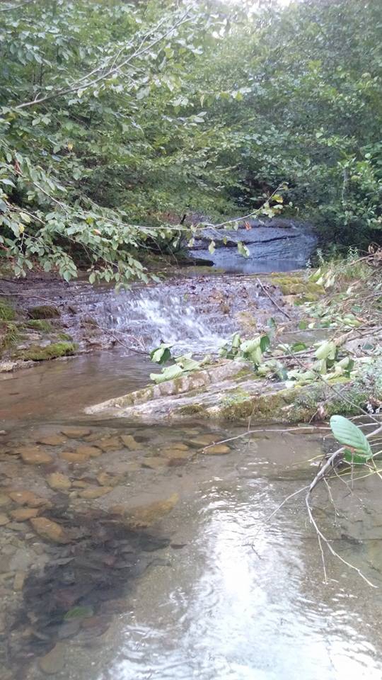 Canik Yeşilpınar Köyü Resimleri 4