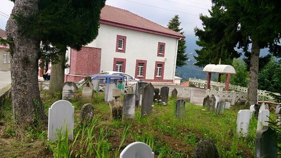 Vakfıkebir Düzlük Köyü Resimleri 10