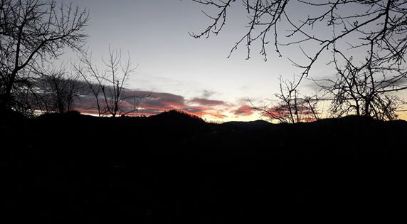 Vakfıkebir Düzlük Köyü Resimleri 11