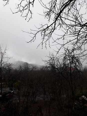 Vakfıkebir Düzlük Köyü Resimleri 12