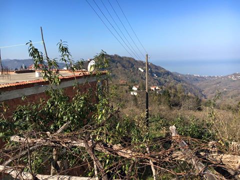 Vakfıkebir Düzlük Köyü Resimleri 13