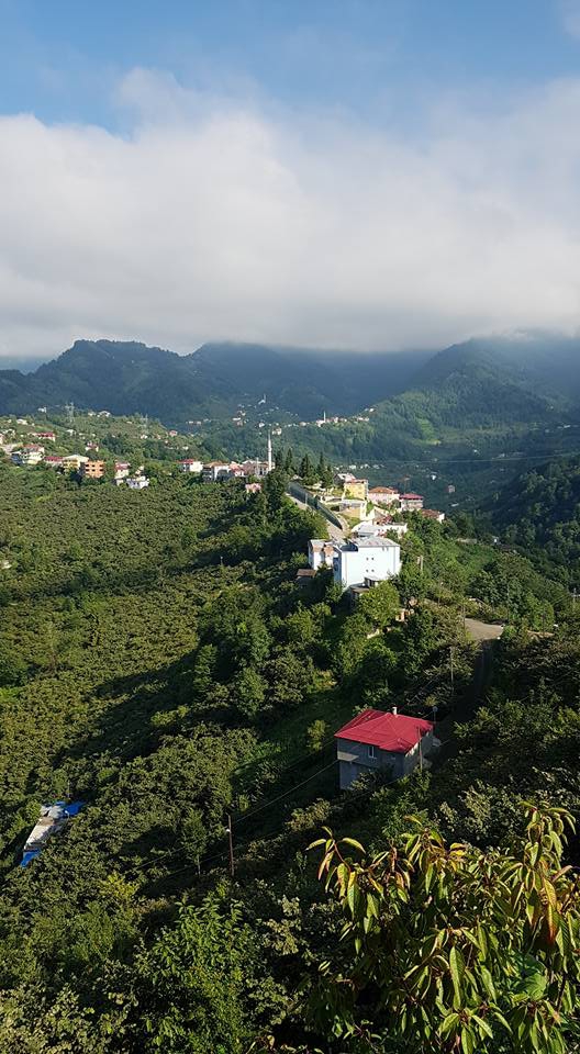 Vakfıkebir Düzlük Köyü Resimleri 2