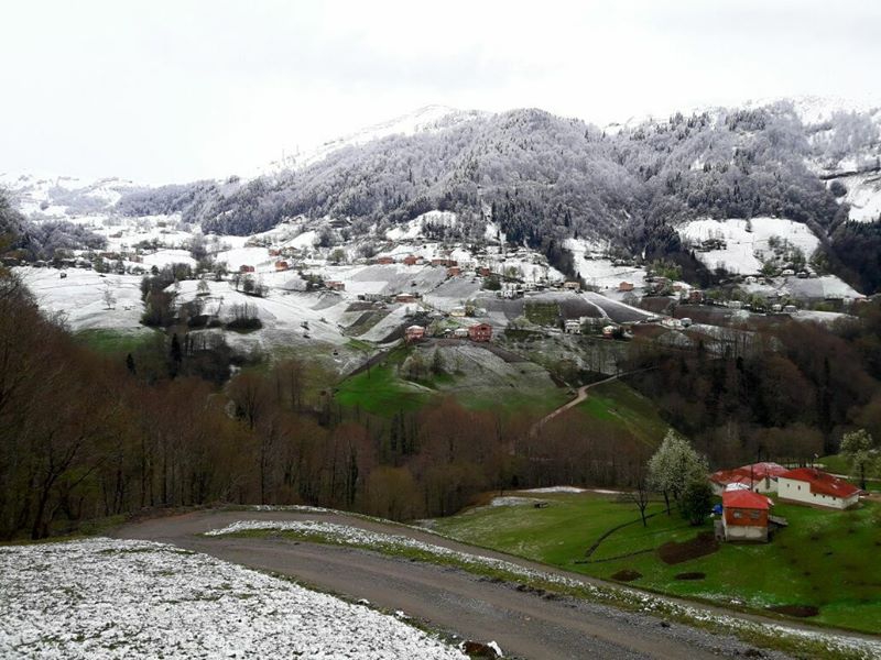 Vakfıkebir Düzlük Köyü Resimleri 21