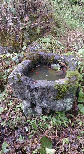 Vakfıkebir Düzlük Köyü Resimleri 25