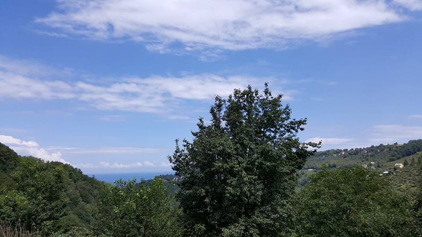 Vakfıkebir Düzlük Köyü Resimleri 26