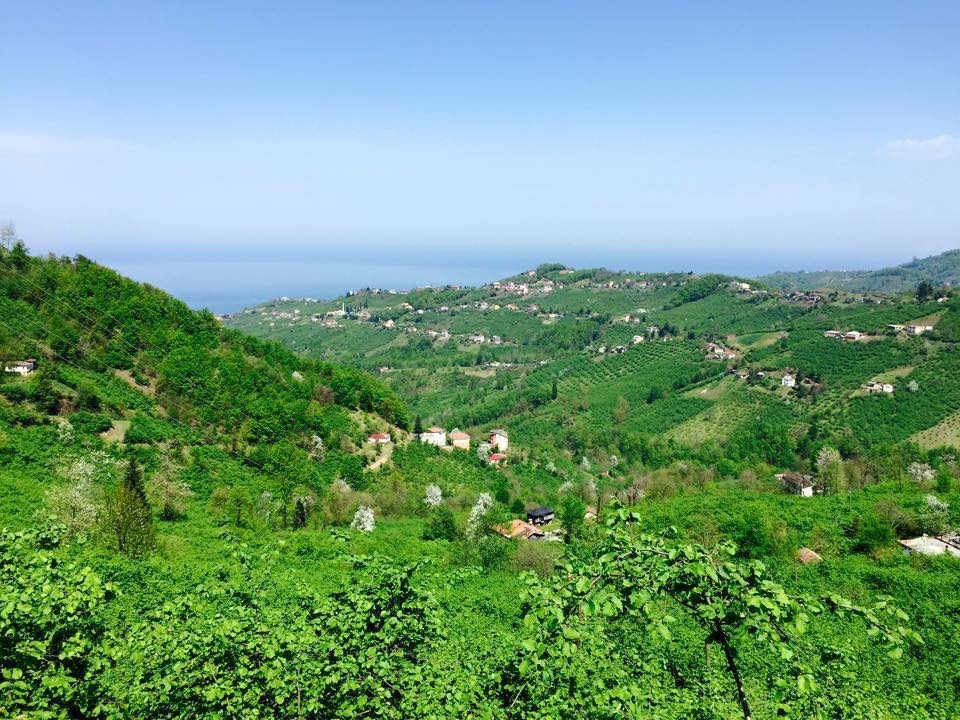 Vakfıkebir Düzlük Köyü Resimleri 29
