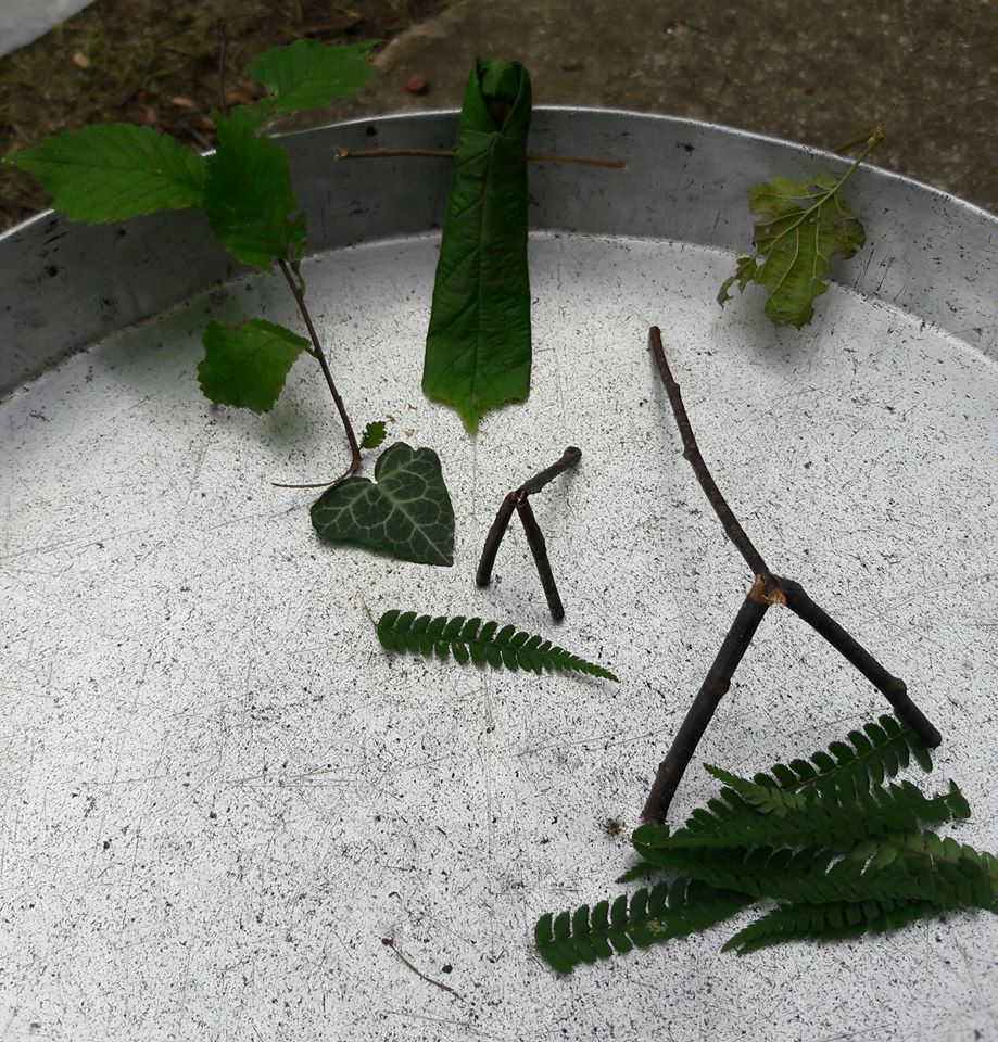 Vakfıkebir Düzlük Köyü Resimleri 32