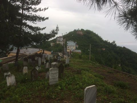 Vakfıkebir Düzlük Köyü Resimleri 5