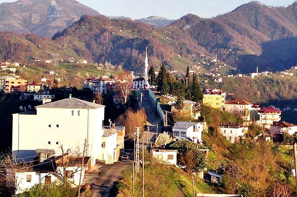 Vakfıkebir Düzlük Köyü Resimleri 6