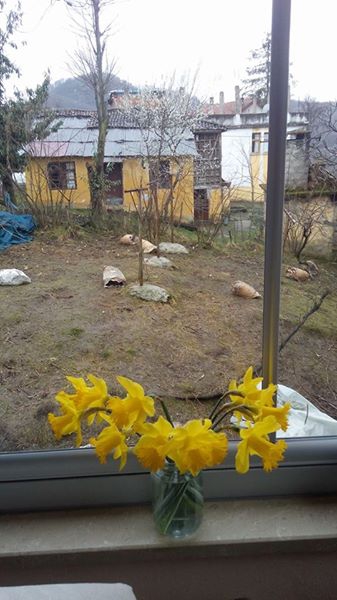 Vakfıkebir Düzlük Köyü Resimleri 8