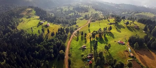 Vakfıkebir Düzlük Köyü Resimleri 9