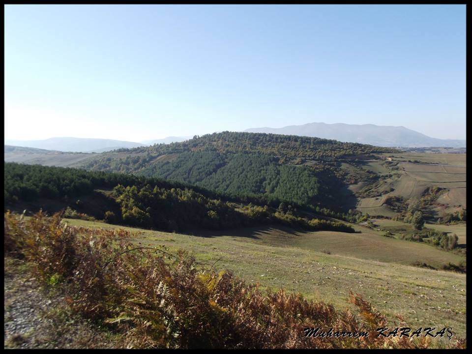 İlkadım Çandır Köyü Resimleri 9