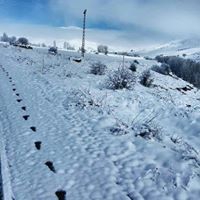 Bayburt Yaylapınar Köyü Resimleri 20