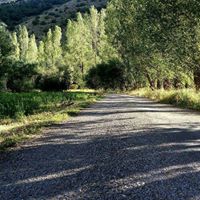 Bayburt Yaylapınar Köyü Resimleri 22