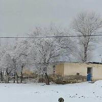 Bayburt Yaylapınar Köyü Resimleri 28